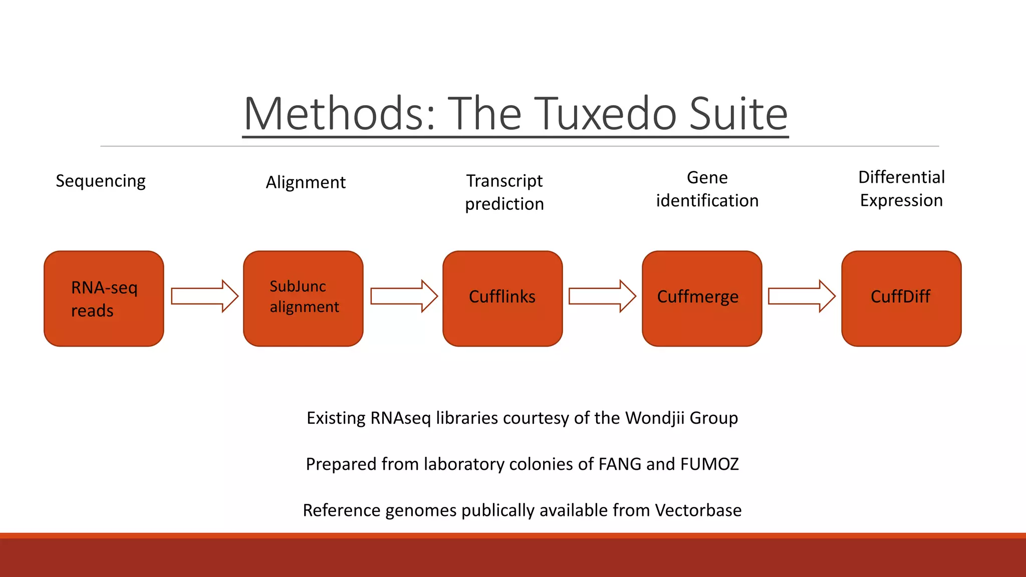 Methods: The Tuxedo Suite
RNA-seq
reads
SubJunc
alignment
Cufflinks Cuffmerge CuffDiff
Sequencing Alignment Transcript
prediction
Gene
identification
Differential
Expression
Existing RNAseq libraries courtesy of the Wondjii Group
Prepared from laboratory colonies of FANG and FUMOZ
Reference genomes publically available from Vectorbase
 