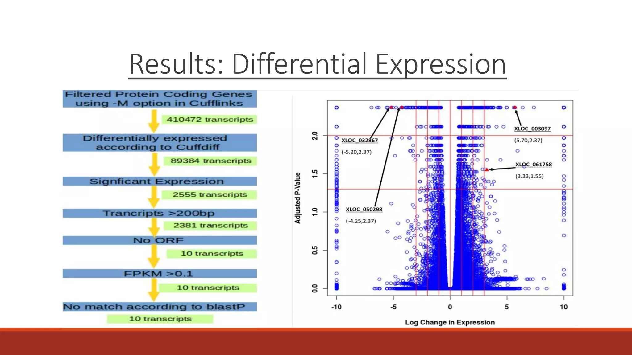 Results: Differential Expression
 