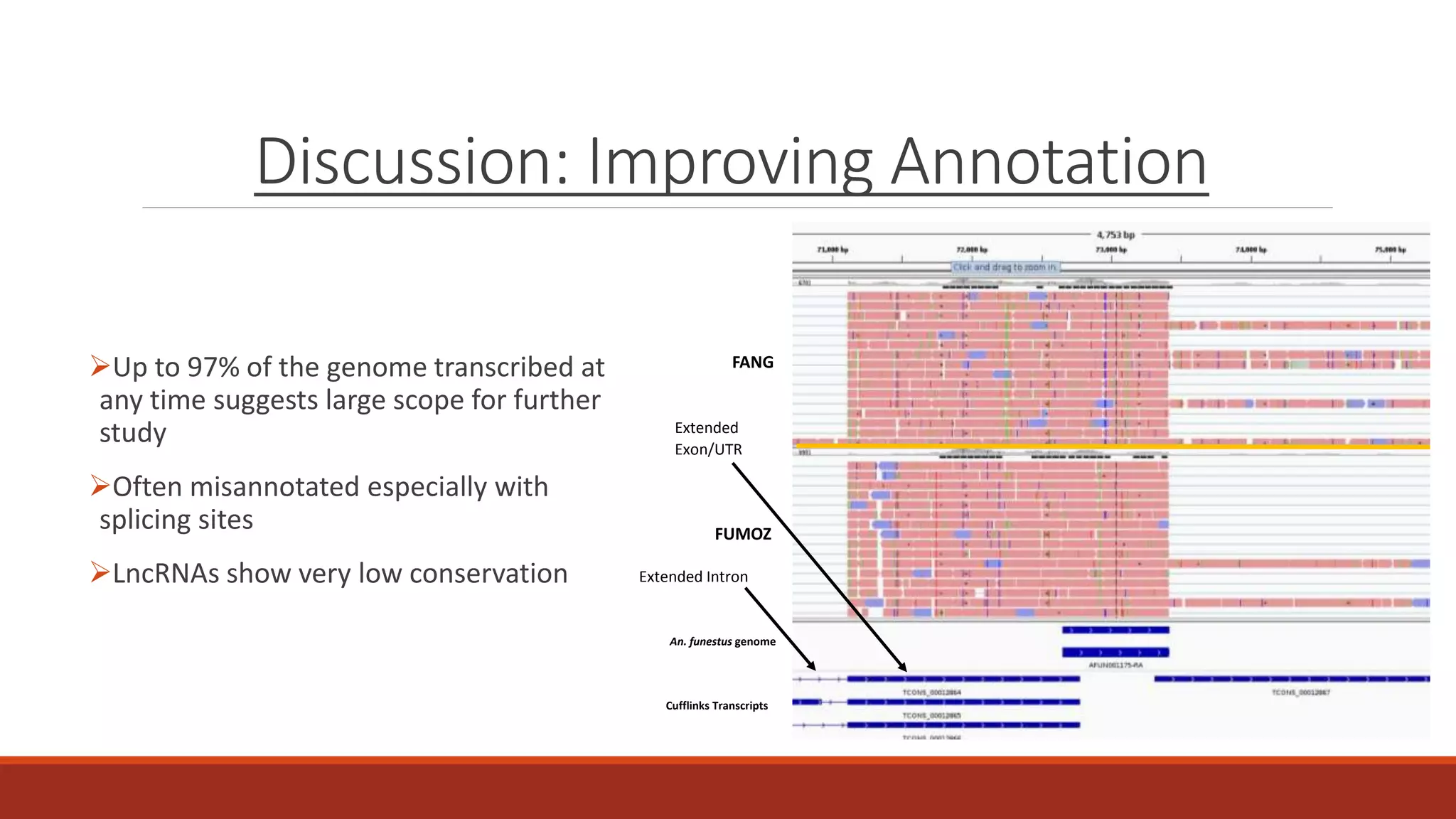 Discussion: Improving Annotation
Up to 97% of the genome transcribed at
any time suggests large scope for further
study
Often misannotated especially with
splicing sites
LncRNAs show very low conservation
FANG
FUMOZ
An. funestus genome
Cufflinks Transcripts
Extended
Exon/UTR
Extended Intron
 