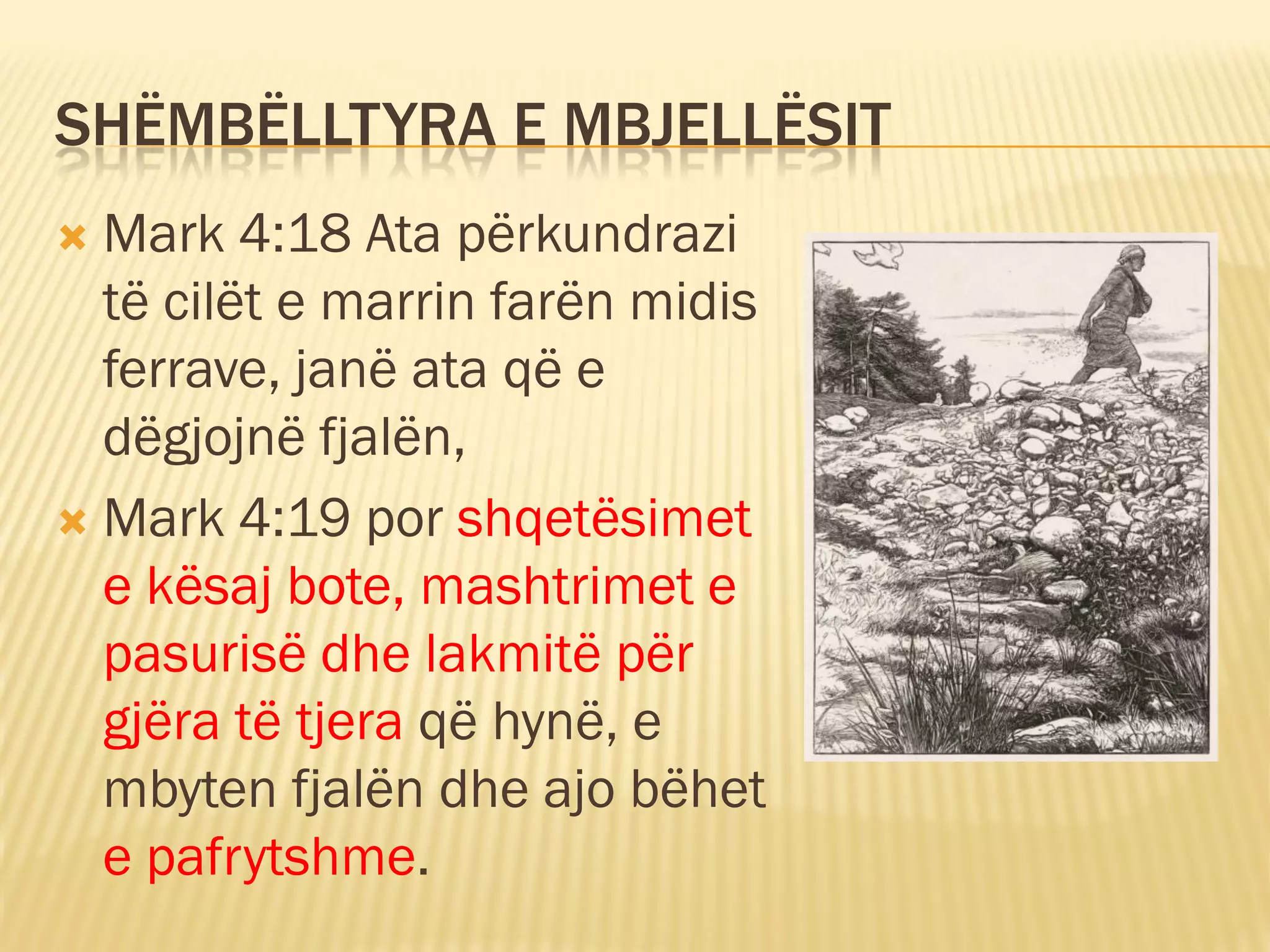 SHËMBËLLTYRA E MBJELLËSIT
 Mark 4:18 Ata përkundrazi
  të cilët e marrin farën midis
  ferrave, janë ata që e
  dëgjojnë fjalën,
 Mark 4:19 por shqetësimet
  e kësaj bote, mashtrimet e
  pasurisë dhe lakmitë për
  gjëra të tjera që hynë, e
  mbyten fjalën dhe ajo bëhet
  e pafrytshme.
 