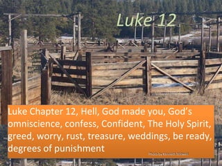 Luke 12
Luke Chapter 12, Hell, God made you, God’s
omniscience, confess, Confident, The Holy Spirit,
greed, worry, rust, treasure, weddings, be ready,
degrees of punishment Photo by Kenneth Stillwell
 