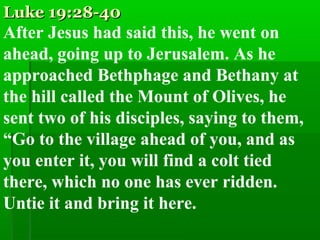 Luke 19:28-40Luke 19:28-40
After Jesus had said this, he went on
ahead, going up to Jerusalem. As he
approached Bethphage and Bethany at
the hill called the Mount of Olives, he
sent two of his disciples, saying to them,
“Go to the village ahead of you, and as
you enter it, you will find a colt tied
there, which no one has ever ridden.
Untie it and bring it here.
 