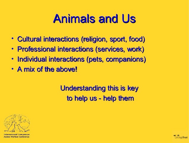 human animal interaction