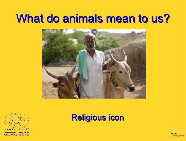 human animal interaction
