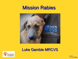 Mission Rabies




Luke Gamble MRCVS
 