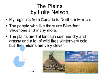 The Plains by Luke Nelson ,[object Object],[object Object],[object Object]