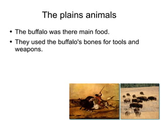 The plains animals  The buffalo was there main food. They used the buffalo's bones for tools and weapons.  
