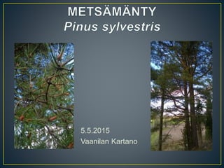 5.5.2015
Vaanilan Kartano
 