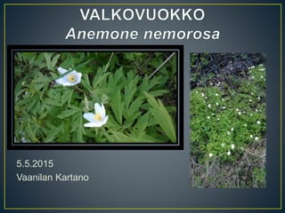 5.5.2015
Vaanilan Kartano
 