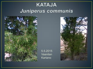 5.5.2015
Vaanilan
Kartano
 