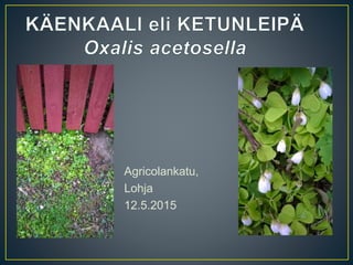 Agricolankatu,
Lohja
12.5.2015
 