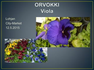 Lohjan
City-Market
12.5.2015
 