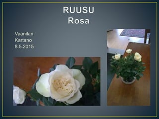 Vaanilan
Kartano
8.5.2015
 