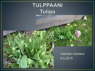 Vaanilan Kartano
8.5.2015
 