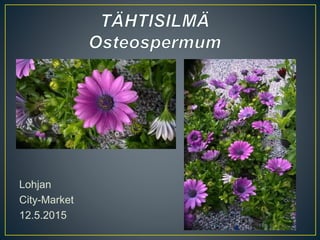 Lohjan
City-Market
12.5.2015
 