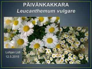 Lohjan Lidl
12.5.2015
 