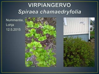 Nummentie,
Lohja
12.5.2015
 