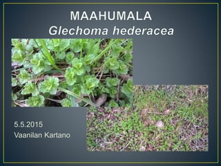 5.5.2015
Vaanilan Kartano
 