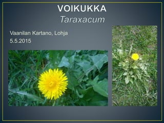 Vaanilan Kartano, Lohja
5.5.2015
 