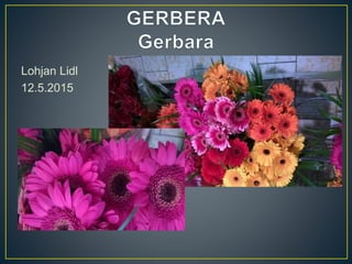 Lohjan Lidl
12.5.2015
 