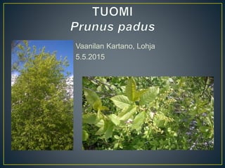 Vaanilan Kartano, Lohja
5.5.2015
 