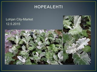Lohjan City-Market
12.5.2015
 