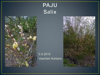 5.5.2015
Vaanilan Kartano
 