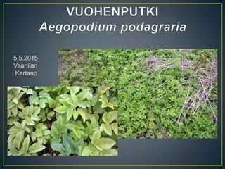 5.5.2015
Vaanilan
Kartano
 