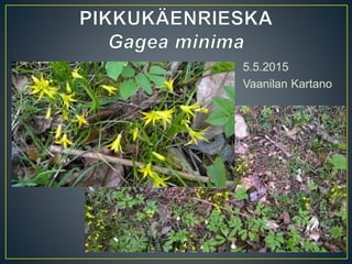 5.5.2015
Vaanilan Kartano
 