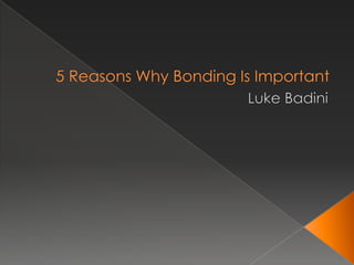 5 Reasons Why Bonding Is Important  Luke Badini 