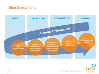 © Natural Resources Institute Finland
Blue bioeconomy
12
FOOD TEHCNOLOGY BY-PRODUCTS LEISURE
Value-added
aquatic
bioproduc...