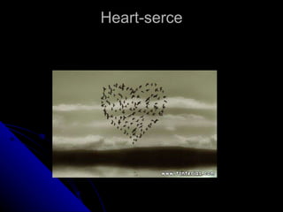 Heart-serce 