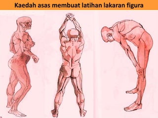 Kaedah asas membuat latihan lakaran figura
 