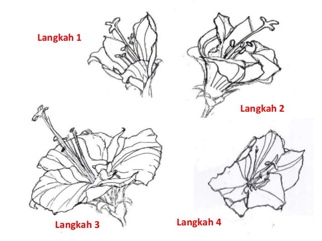 Contoh Video Imitasi - Contoh 37