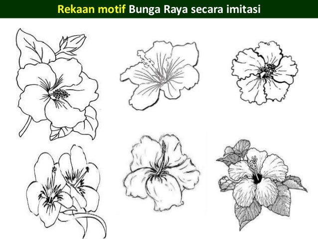  Gambar  Bunga  Raya Lukisan Gambar  MNO