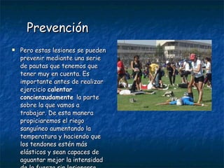 Prevención Pero estas lesiones se pueden prevenir mediante una serie de pautas que tenemos que tener muy en cuenta. Es importante antes de realizar ejercicio  calentar concienzudamente  la parte sobre la que vamos a trabajar. De esta manera propiciaremos el riego sanguíneo aumentando la temperatura y haciendo que los tendones estén más elásticos y sean capaces de aguantar mejor la intensidad de la fuerza sin lesionarse. 