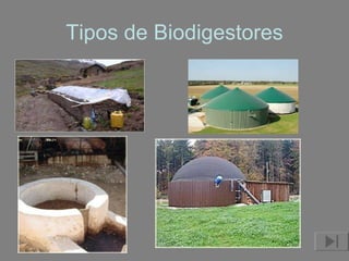 Tipos de Biodigestores 