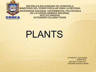 REPÚBLICA BOLIVARIANA DE VENEZUELA
MINISTERIO DEL PODER POPULAR PARA LA DEFENSA
UNIVERSIDAD NACIONAL EXPERIMENTAL POLITÉCNICA
DE LA FUERZA ARMADA NACIONAL
NÚCLEO ARAGUA
EXTENSIÓN COLONIA TOVAR
PLANTS
STUDENTS: JEAN BANDA.
RUBEN RUH.
SECTION: 02-IAG-D 01.
TEACHER: BLANCA TERAN.
 