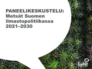 © Luonnonvarakeskus© Luonnonvarakeskus
PANEELIKESKUSTELU:
Metsät Suomen
ilmastopolitiikassa
2021–2030
1 7.6.2019
 