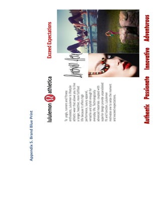Appendix 5. Brand Blue Print
 