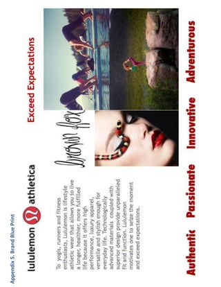 Appendix 5. Brand Blue Print
 