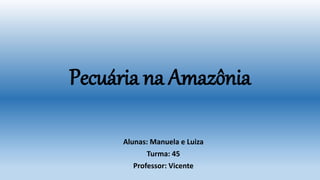 Pecuária na Amazônia
Alunas: Manuela e Luiza
Turma: 45
Professor: Vicente
 