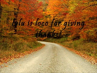 lulu is loco for giving thanks! 