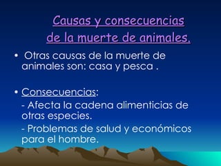 Causas y consecuencias de la muerte de animales. Otras causas de la muerte de animales son: casa y pesca . Consecuencias :  - Afecta la cadena alimenticias de otras especies. - Problemas de salud y económicos para el hombre. 