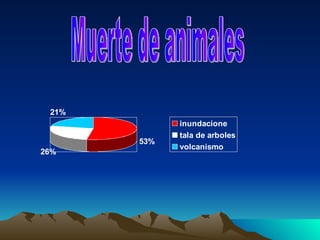 Muerte de animales 
