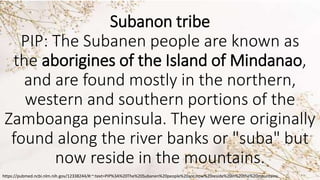 Subanon Letter LUMADS parts. discover the life of lumads | PPTX