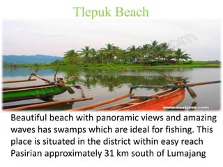 Tlepuk Beach 
Beautiful beach with panoramic views and amazing 
waves has swamps which are ideal for fishing. This 
place is situated in the district within easy reach 
Pasirian approximately 31 km south of Lumajang 
 