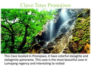 Clave Tetes Pronojiwo 
This Cave located in Pronojiwo, it have colorful stalagtite and 
stalagmite panorama. This cave is the most beautiful cave in 
Lumajang regency and interesting to visited 
 