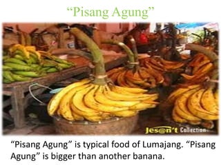“Pisang Agung” 
“Pisang Agung” is typical food of Lumajang. “Pisang 
Agung” is bigger than another banana. 
 