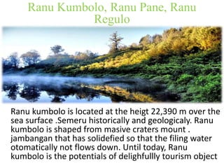 Ranu Kumbolo, Ranu Pane, Ranu 
Regulo 
Ranu kumbolo is located at the heigt 22,390 m over the 
sea surface .Semeru historically and geologicaly. Ranu 
kumbolo is shaped from masive craters mount . 
jambangan that has solidefied so that the filing water 
otomatically not flows down. Until today, Ranu 
kumbolo is the potentials of delighfullly tourism object 
 